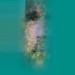 Zvetan Mumdgiev