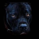 Мартин Симеонов 1