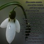 Михаела Петкова 1