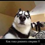 Илиян Йончев