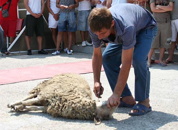 Slide 1
