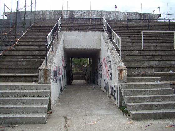 Slide 1