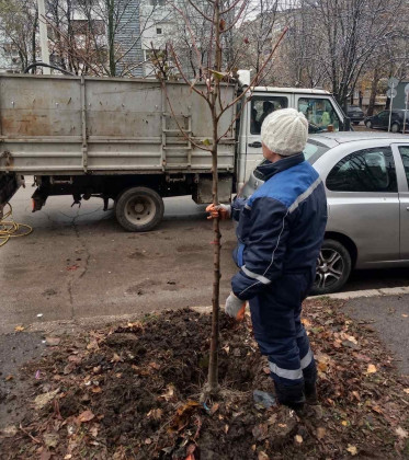 Снимка