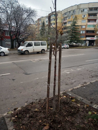 Снимка