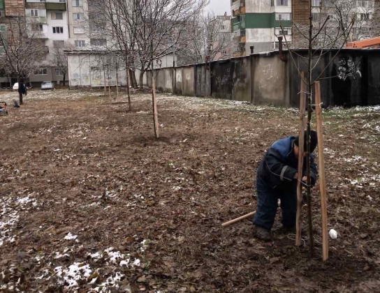 Снимка