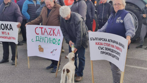 Снимка