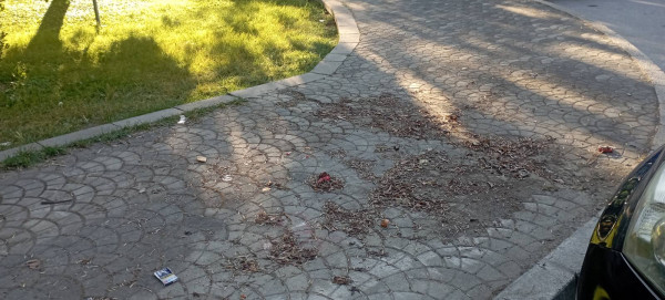 Снимка