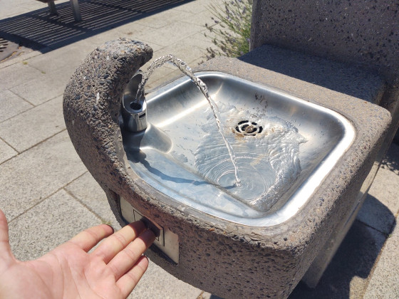 Снимка