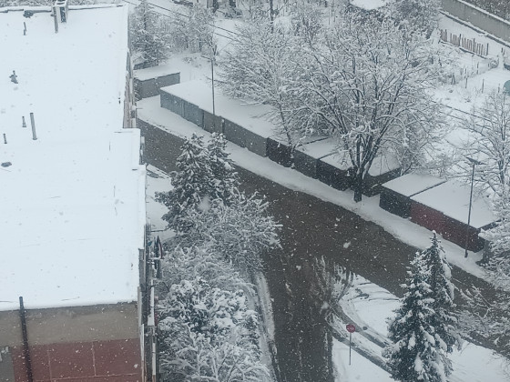 Снимка