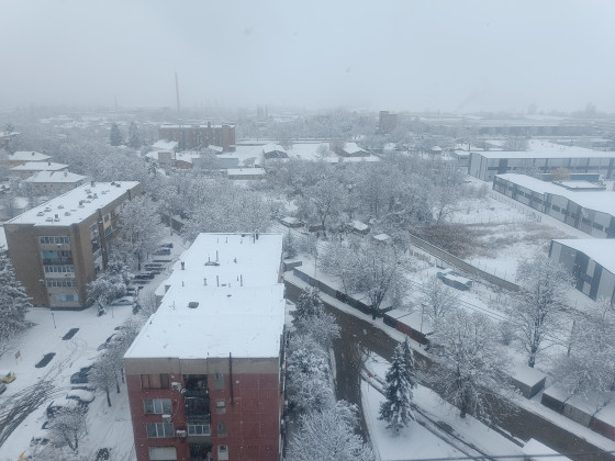 Снимка