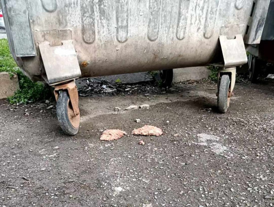 Снимка