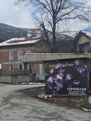 Снимка
