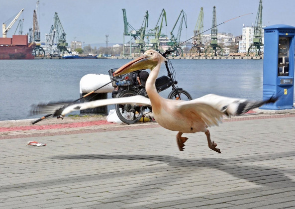 Снимка