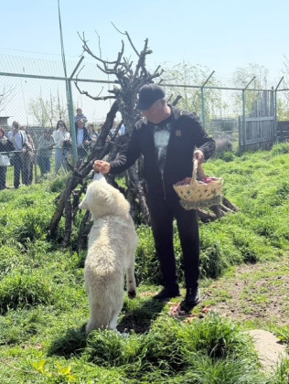 Снимка