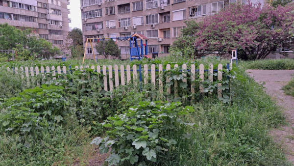 Снимка
