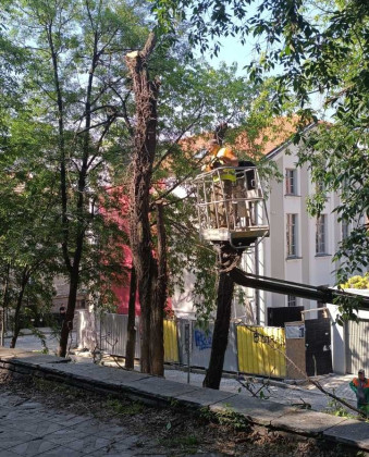 Снимка