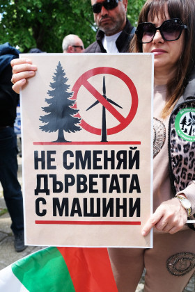 Снимка