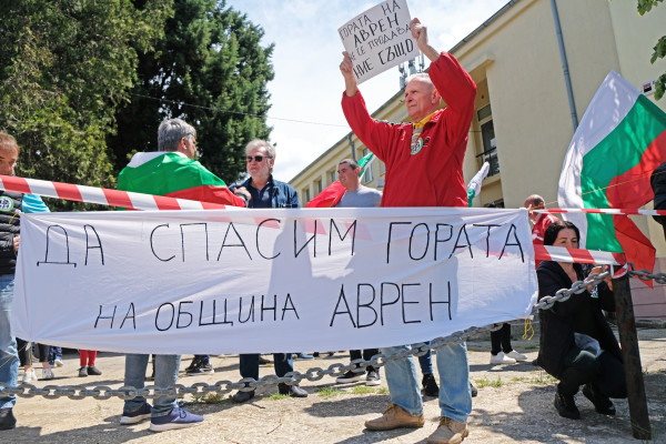 Снимка