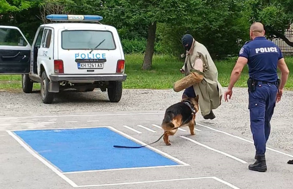 Снимка