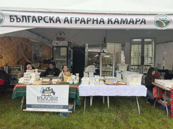 Снимка