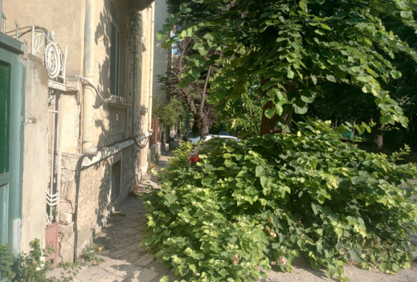 Снимка