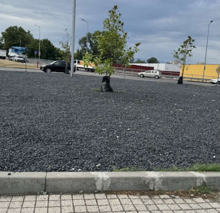 Снимка