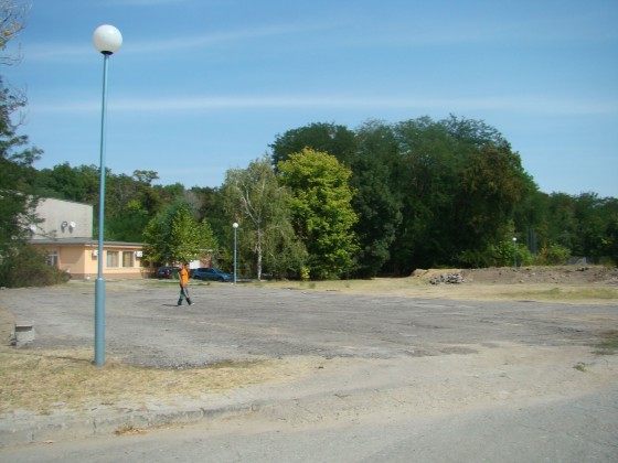 Slide 1