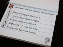 Изборите за лидер на БСП: Висока активност и множество жалби