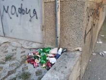 Читател: Свинщина пред Спортното училище, институциите мълчат