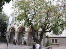 Учениците от Хуманитарната са се самокарантинирали! Институциите - неинформирани и неадекватни