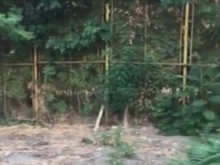 Тъжни кадри от двора на пловдивско училище