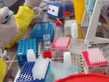 България е сред страните с висок риск за смъртни случаи от коронавирус