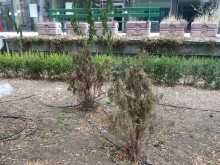 Пловдивчанин остана изумен от безхаберието на институциите