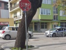 Учебен автомобил блъсна дете с велосипед на пешеходна пътека
