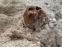 Смразяваща кръвта находка - откриха разпилени човешки останки край Пловдив