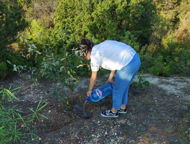 Ученици от горните класове засадиха дръвчета край Варна Това се