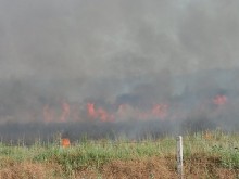 Пожар гори в сухи стърнища по пътя Пазарджик - Пловдив