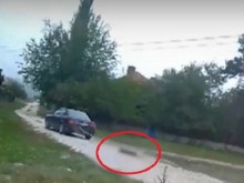 Циганин е влачил кучето, вързано за колата му, вижте неговото обяснение