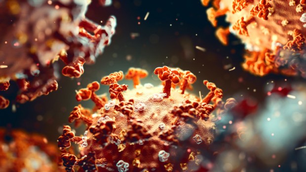 iStock
Учените са открили уязвимото място на трите свързани коронавируса –
