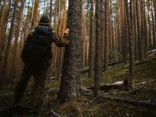 Пенсионер се изгуби в гората над Велинград, полицейски екипи го издирват през нощта