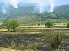 220 декара пшеница изгоряха при пожар
