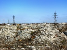 Учени: Чакат ни още по-страшни пандемии, ако не защитаваме природата