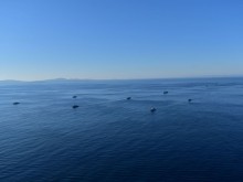 Българските ВМС ще участват в унищожаване на мини от Първата световна война