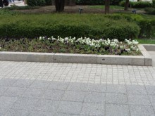 Пловдивски фенове на Майкъл Джексън почитат паметта му