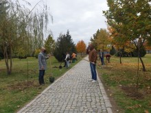 Доброволци засадиха 70 дръвчета в "Тракия"