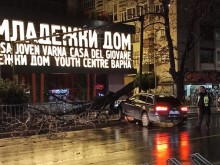Кола събори дърво във Варна