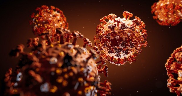 Щам на новия коронавирус може да се прехвърля върху животни
