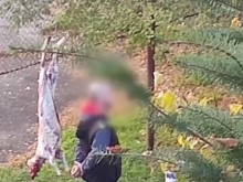 Мъж закла и одра агне на метри от детска градина