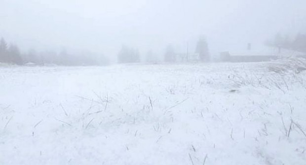 Сняг на Пампорово