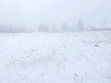 Сняг на Пампорово